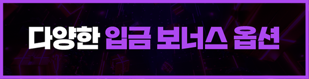 다양한 입금 보너스 옵션